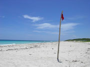 Red flags mean unsafe swimming conditions!