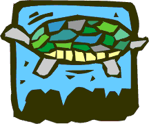 Turtle