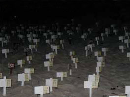 Turtles nests, safe in the sanctuary.
