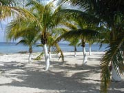 Typical West (leeward) Beach