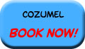 Cozumel Dolphin Activities