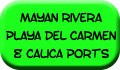 Dolphin activities off Mayan Rivera