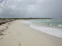 Sothern Island Beach