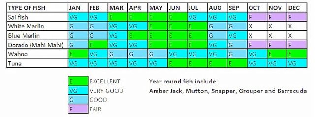 Cozumel Sport Fish Chart!