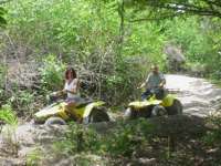Fun ATV's !