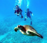 See and interact with marine life up close!
