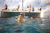 Snorkeling from the Fury Catamaran
