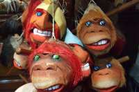 Cute Handcarved Coconut Heads!