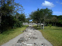 Ruin at San Gervasio on Cozumel Island