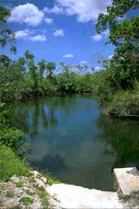 Cenote (underground cave) 'Carwash' on mainland