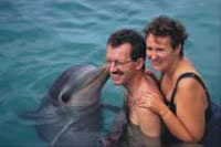 Dolphins at Xcaret