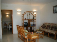 Spacious Living Room