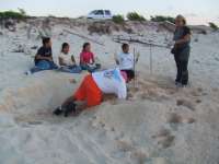 Volunteers excavating nests to check hatch rates.