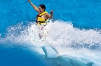 Soar above the water by dolphin power!