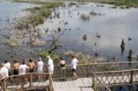Enjoy a beautiful lagoon!