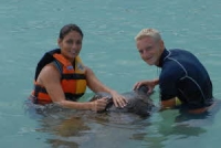 Dolphin Discovery Manatees