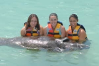 Dolphin Discovery Manatees Reserve online here!