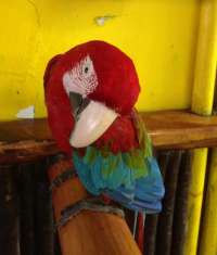 Our Friendly Staff Member!