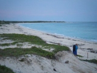 Miles of pristine beach at Punta Sur Park Cozumel