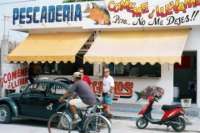 Pescaderia San Carlos Fish Market & Restaurant!