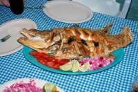 Freshly Fried Fish - SO GOOD!