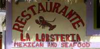 La Lobsteria!