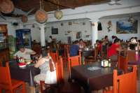 A Local (and TOURIST) Favorite Dining Experience!