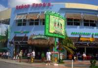 Senor Frog's Cozumel - Where Anything Can Happen!