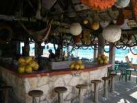 I see the Coconuts, where is the RUM?