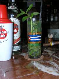 Freshly Made Mojito - That Will Hit the Spot!