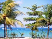 Come enjoy PalMar SMALL Beach Club!