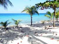 PalMar Beach Club View of Caribbean!