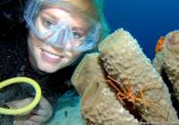 Are you ready for great diving in Cozumel?