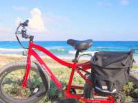 Pedago Electric Bikes Are Green-Friendly