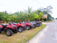 Cozumel Jungle ATV Adventure Tour - Come On In!