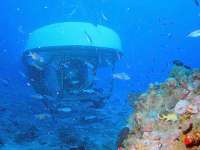 Cozumel's Coral Reefs are JUST STUNNING!