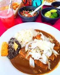 Wonderful Enchiladas Mole - Sherri's Favorite!