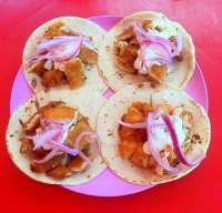 Try the Fish Tacos - You Will Come Back for More!