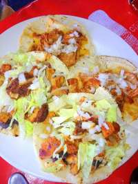 We Have a GREAT Selection of Tacos Also!