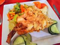 Great Seafood - We Recommend the Lobster!