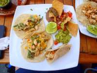 Try the Tacos - You Will Thank Us Later - So Good!
