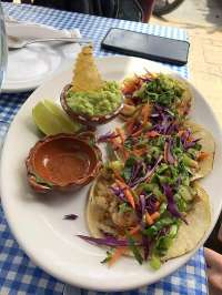 We Love the Fresh Fish Tacos Here at Casa Cuzamil!