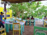 Drop In & Try Islander Cozumel Restaurant & Bar!
