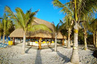 Beach Bar
