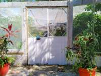 Enter Our Patas y Alas Butterfly Sanctuary!