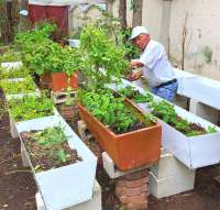 Maintaining Native Plants for Our Butterflies!