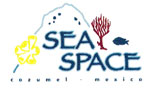Sea Space