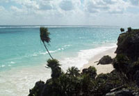 The beach off Tulum