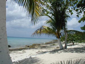 PalMar's Beach and Snorkel Area!